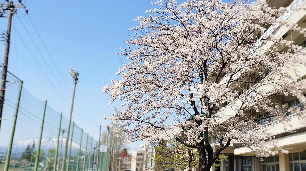 Let’s start English class! Hello, everyone. 盛岡市立上田中学校